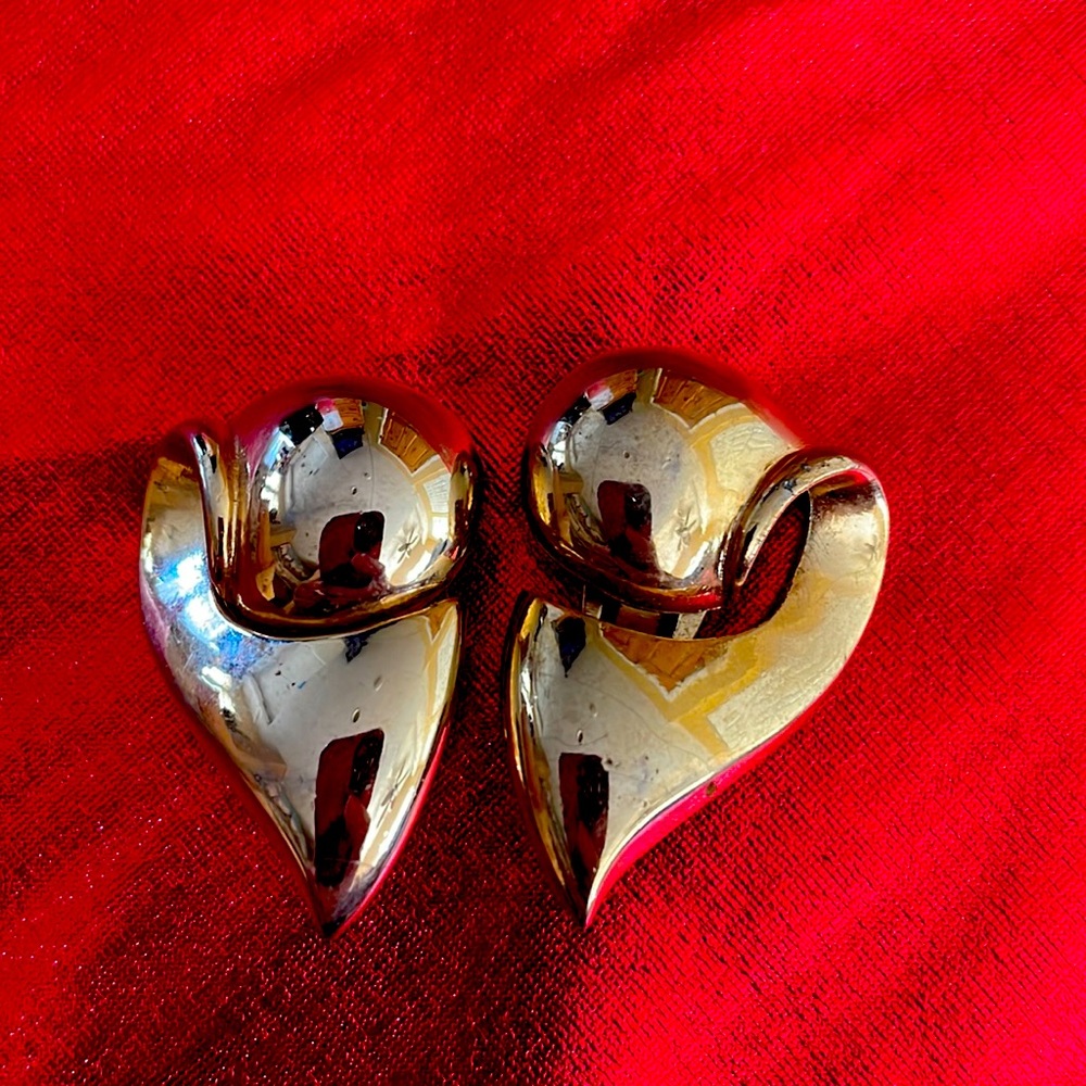 Earrings clip on